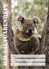 Hausaufgabenheft "Koala" im Zoo Dresden