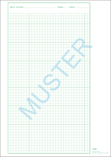 Prüfungspapier/Schulaufgabenpapier A4 - mit Rand rechts ca.4 cm - liniert